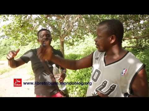 A la découverte de Soko, le village ivoirien des singes