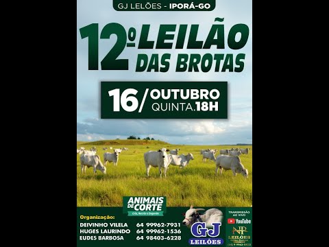 GJ LEILÕES - IPORÁ GOIAS 16/10/2025