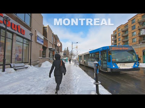 Winter Walk in Montreal's Popular Neighborhood - Côte-des-Neiges - PART 2
