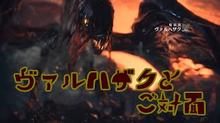 【MHW】part68 たまに瘴気が溜まってる