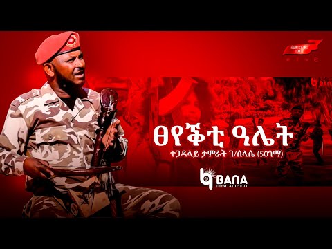 ፀየቕቲ ዓሌት (Tseyekti Alet) - ታምራት ገ/ስላሴ(50 ጎማ) - Tamrat G/silasie(50 Goma) - New Tigrigna Music 2022