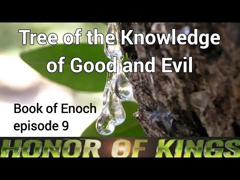 Tree of the Knowledge of Good and Evil - Book of Enoch - Episode 9
