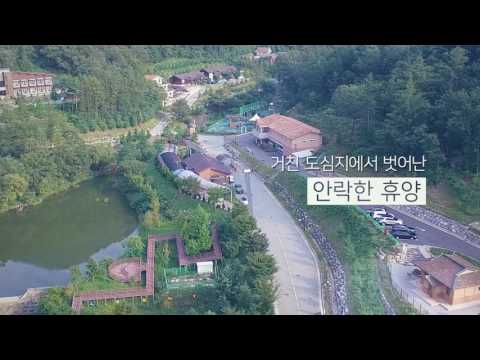 알프스자연휴양림