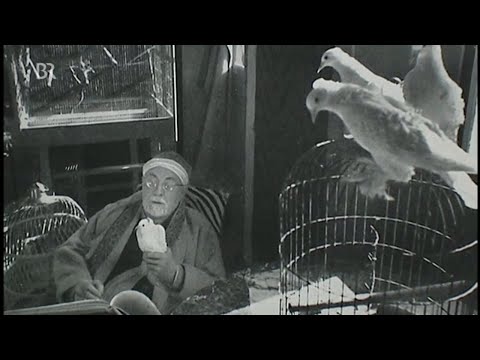 Henri Matisse - Die Farben des Südens (franz. Maler 1869-1954)