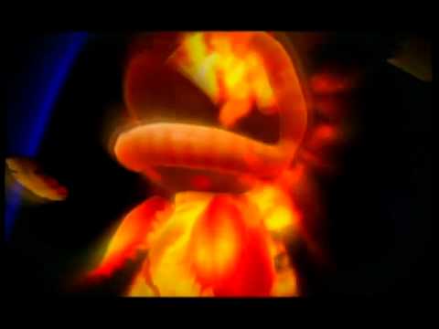 Super Mario Galaxy 2 - Throwback Throwdown Speed Run