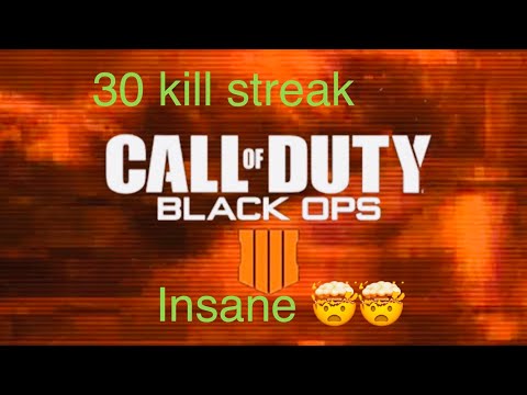 Insane 30 kills bo4