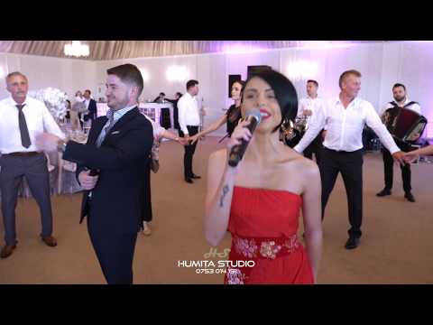 ALEX SURDEA & GEORGIANA VITA SI FORMATIA TIMISU ASCULTARE NUNTA BOGDAN DIANA 2019