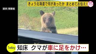 知床恐怖車にクマが迫ってくる映像観光客撮影