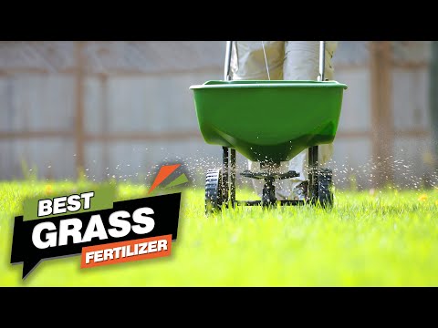 Top 5 Best Grass Fertilizers Review in 2022