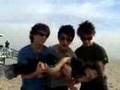 Jonas Brothers The WannaBs Baby Bottle Pop
