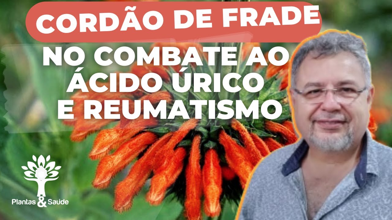 CORDÃO DE FRADE NO COMBATE AO ÁCIDO ÚRICO E REUMATISMO  —  PLANTAS & SAÚDE