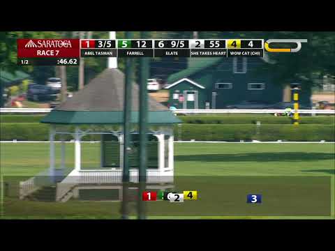 Abel Tasman - 2018 - The Personal Ensign Stakes en Espanol