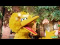 Sesame Street Sunny Days Season 46 Theme Instrumental