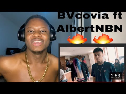 African React To Bvcovia - DALA DUMLA Feat AlbertNBN (Official Video)