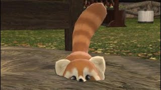 【FF14】レッサーパンダが見てるだけ