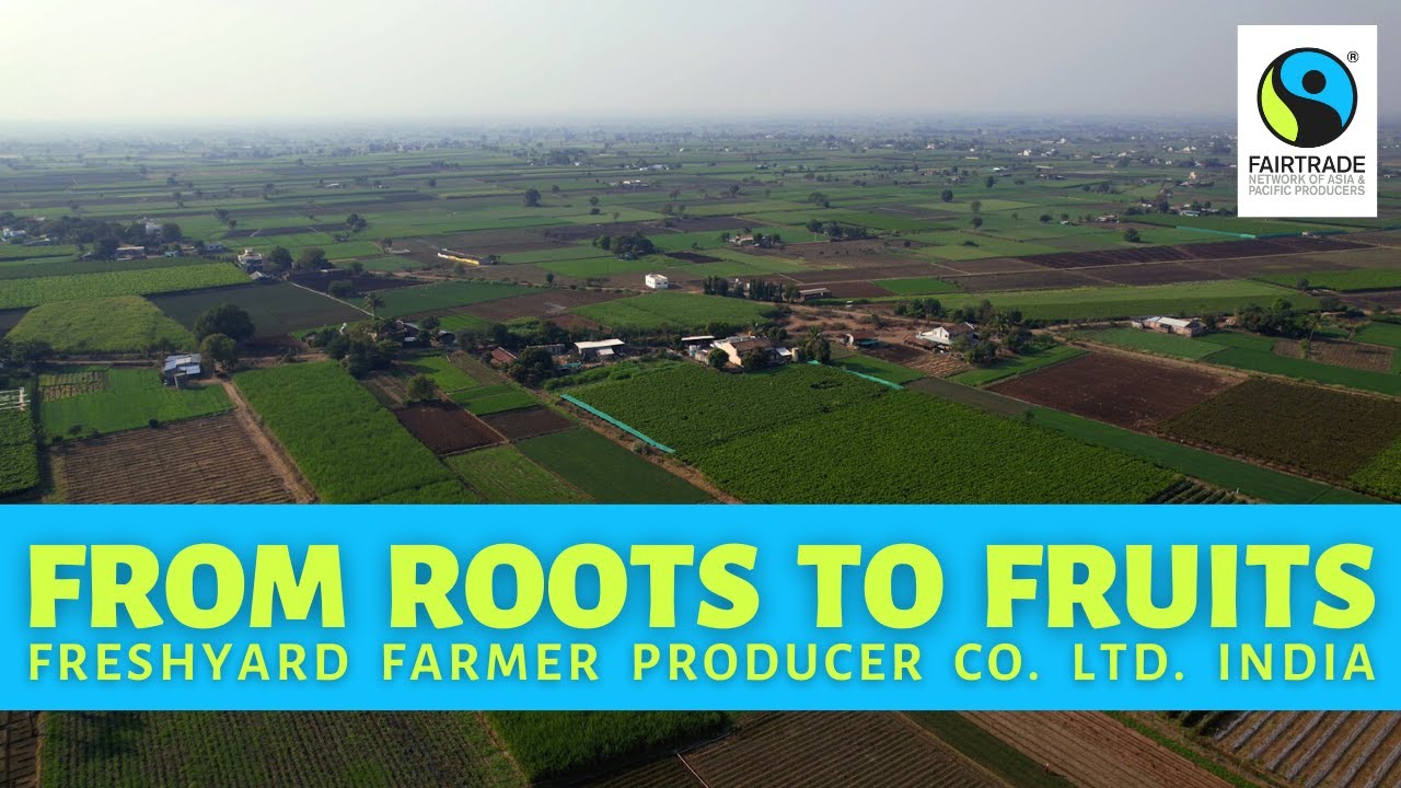 Fairtrade — Roots to Fruits