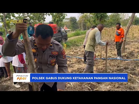 POLSEK GABUS DUKUNG KETAHANAN PANGAN NASIONAL