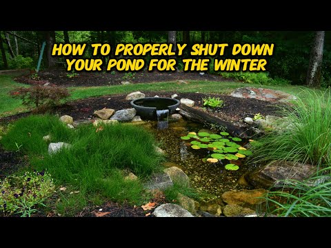 We SHUT DOWN ponds for 3 months and they SURVIVED! | Day in the life of a Pond Guy