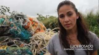 Great Pacific Garbage Patch Spoils Hawaii Island Beach