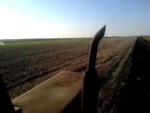 Mtz 82 oranje 3 glave plug