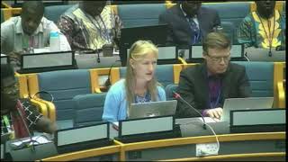 Sascha Gabizon's intervention at the UNEA 3: Marine and Plastic Pollution