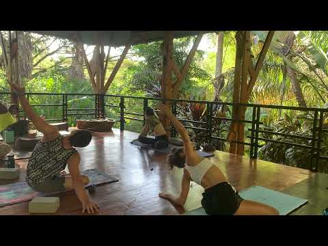 95 minute Water Element Vinyasa Yoga Flow Emphasis on Hips All Levels with Liz Lindh