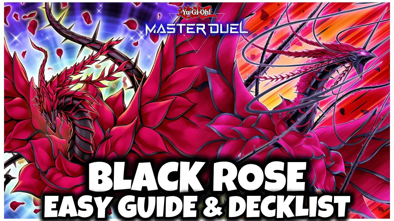 BLACK ROSE DRAGON | EASY GUIDE & DECKLIST!