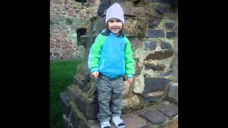 The BossHoss - Still Crazy 'Bout Elvis.mp3