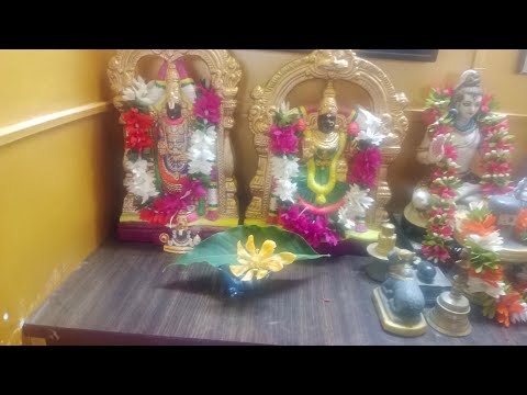 From Sri's Garden - Shenbagam Flower - Divine Fragrance.