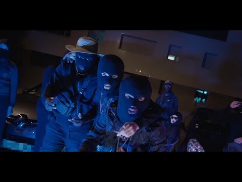 Fulani B x TiBab x Sailif - INTERNATIONAL DRILL