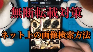 【iPhone使い方】無断転載対策に、画像検索の方法