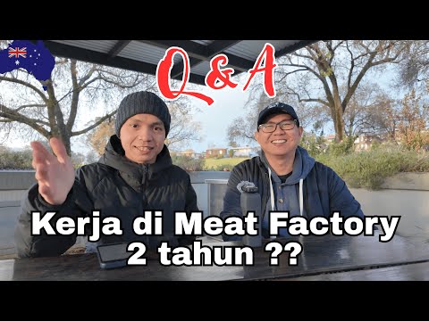 Pengalaman Kerja Di Meat Factory Australia | whv Q&A #1