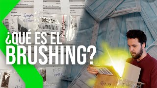 ROBO DE DATOS y PAQUETES NO SOLICITADOS : ¿QUÉ es el BRUSHING?