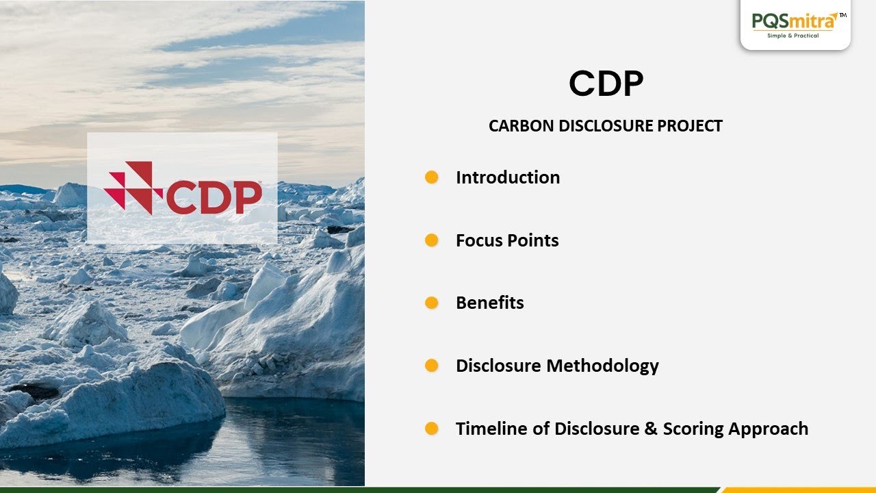 What is CDP? | Carbon Disclosure Project Explained | PQSmitra’s Guide to CDP Disclosure