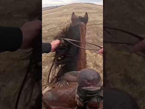 Going WIDE OPEN On A Fast Horse!!!#horse #ranching #thoroughbred #horseriding