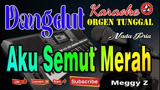 Download lagu Aku Semut Merah - Karaoke (Nada Pria) Meggy Z || Dangdut Orgen Tunggal mp3