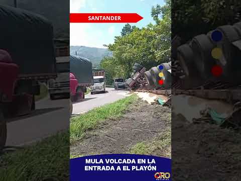 Accidente de tránsito en curva de El Playón | Oro Noticias