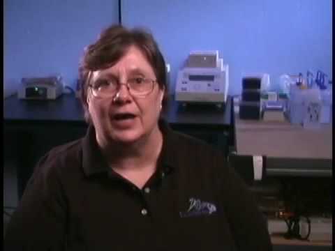 Florida High Tech Corridor Council  Faces of Technology:  Barbara Carter / EcoArray