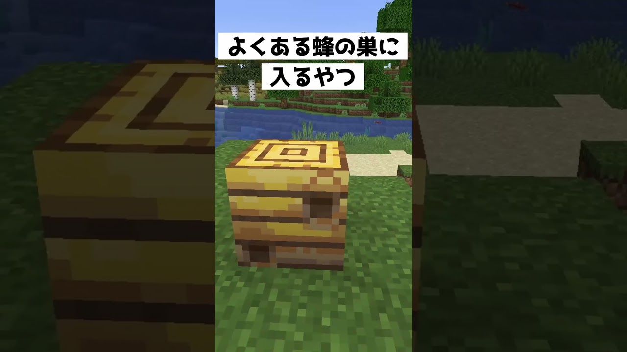 蜂の巣に入るやつやってみた結果…【マインクラフト】【コント】#shorts