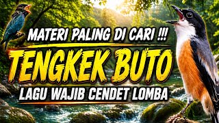 Download lagu 🔴 Cendet Gacor Materi Tengkek Buto Cocok Untuk Masteran Burung Bahan Kesayangan Anda Siap Jadi Juara mp3 Download lagu 🔴 Cendet Gacor Materi Tengkek Buto Cocok Untuk Masteran Burung Bahan Kesayangan Anda Siap Jadi Juara mp3