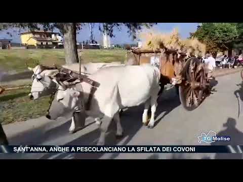 Sant'Anna, anche a Pescolanciano la sfilata dei covoni