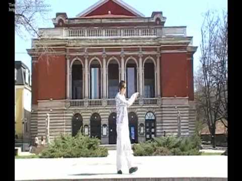 Niksan Records Ft Gabi and Misho SG Greshka v lubovta