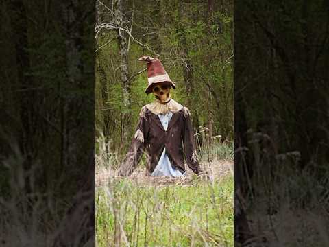 Tractor Supply Groundbreaking Scarecrow #halloween2025 #halloweendecorations #spooky #halloween