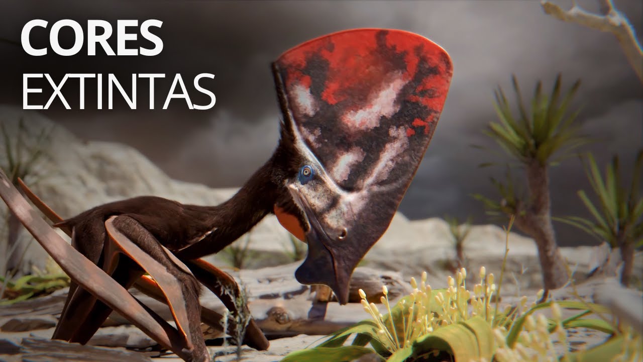 How do we know the true colors and patters of these 5 dinosaurs?