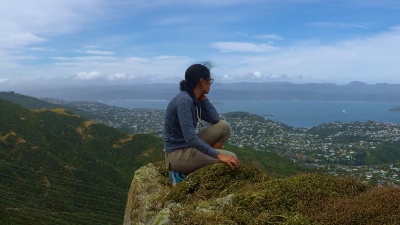 Embark on a virtual hike to Skyline Walkway alongside travelers.