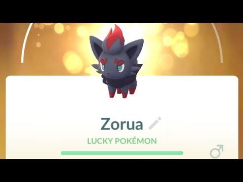 DO IT RIGHT NOW with ZORUA in pokemon and.