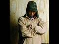 Del Tha Funkee Homosapien - Madness 