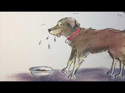 Meanwood Festival Online - Fudge the dog - Chris Swales