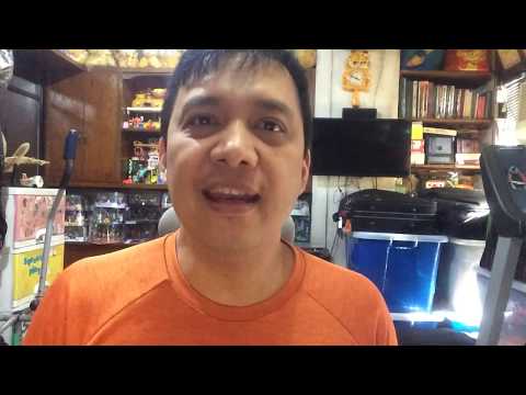 Richard Reynoso Sings Love’s Grown Deep