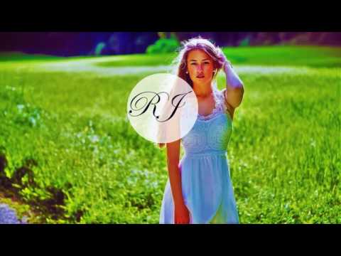 melo de mayane 2016 limpo - DJ Divanz ft Chris Brown Lady In The Glass Dress Reggae ReMix